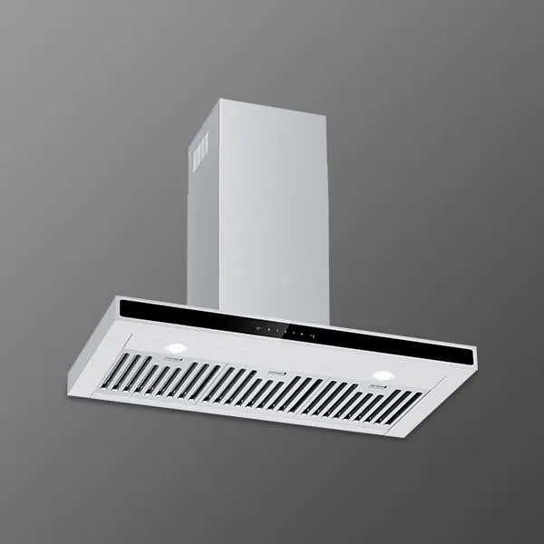 double door Chimney repair delhi